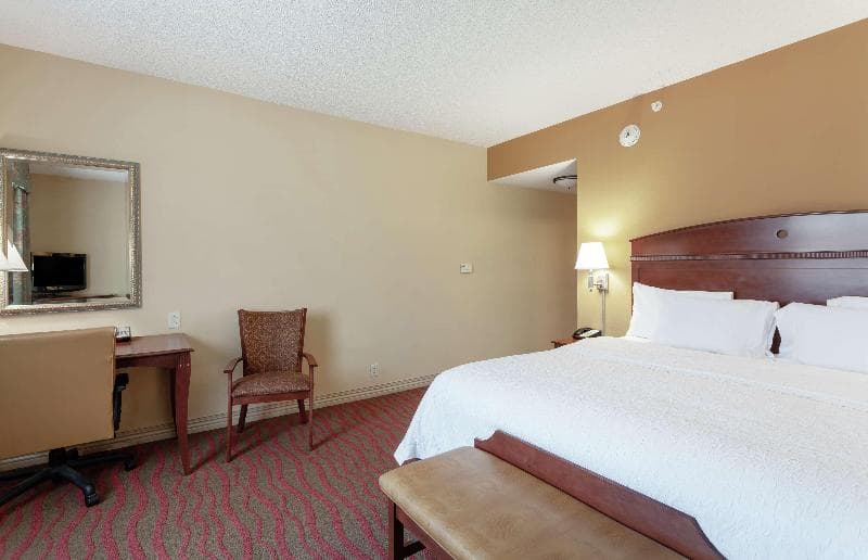 Hampton Inn & Suites Port Richey 5