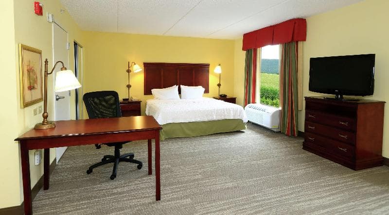 Hampton Inn & Suites Lamar 4