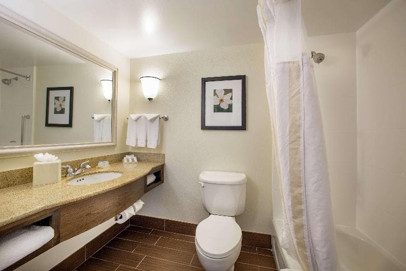 Hilton Garden Inn Richmond Innsbrook 3