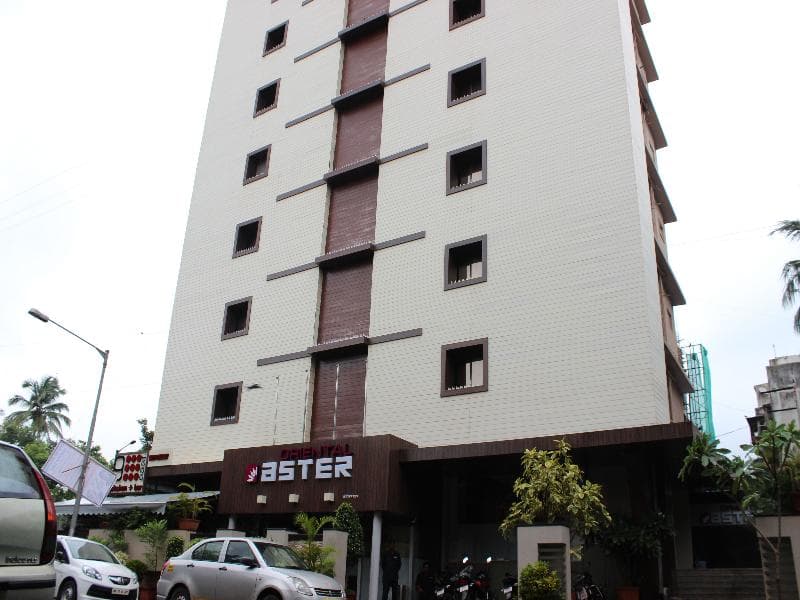 Oriental Aster main