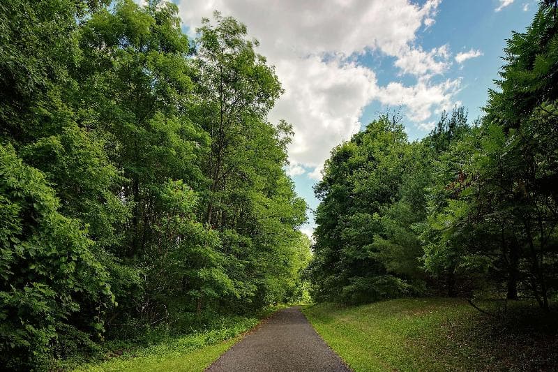 Hilton Garden Inn Albany Airport 2