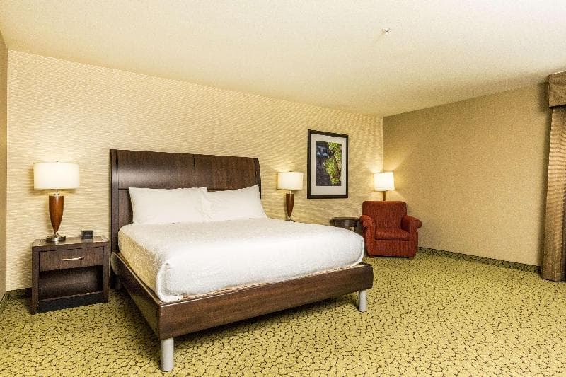 Hilton Garden Inn St. George 3