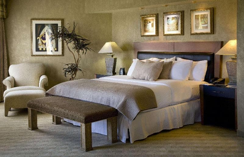 Embassy Suites by Hilton Phoenix Scottsdale 5