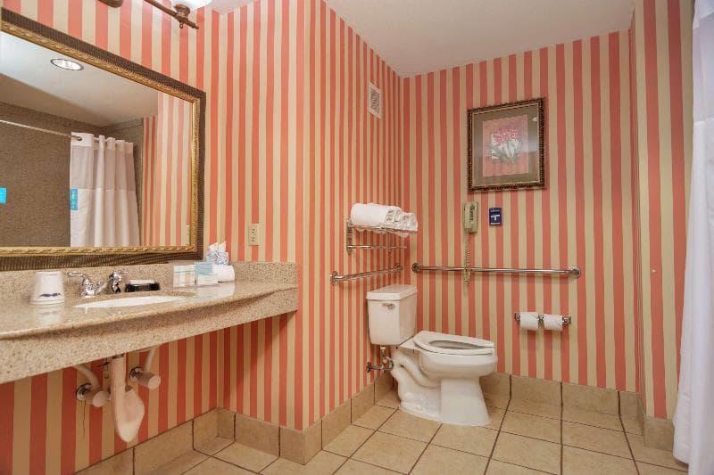 Hampton Inn & Suites Dallas-DFW ARPT W-SH 183 Hurst 3