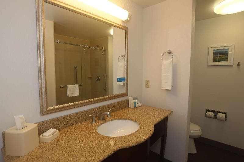 Hampton Inn Owego 3