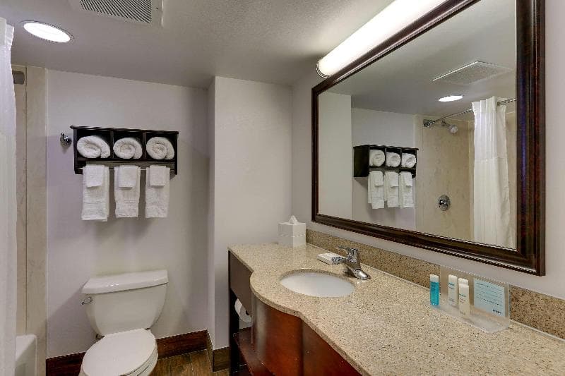 Hampton Inn Springfield 3