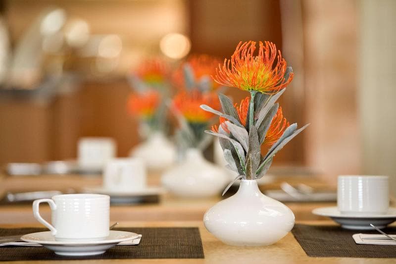 Hilton Garden Inn Dallas/Richardson 4