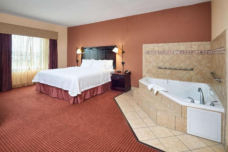 Hampton Inn & Suites Austin South/Buda 3