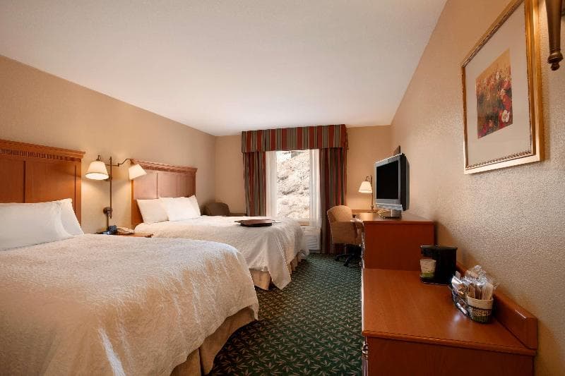 Hampton Inn Canon City 5