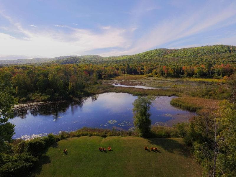 Hampton Inn & Suites Berkshires-Lenox 4