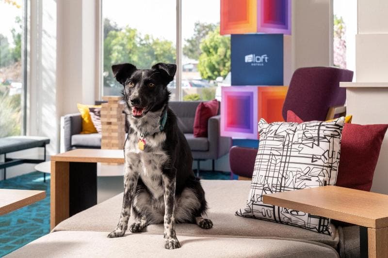 Aloft Mountain View 2