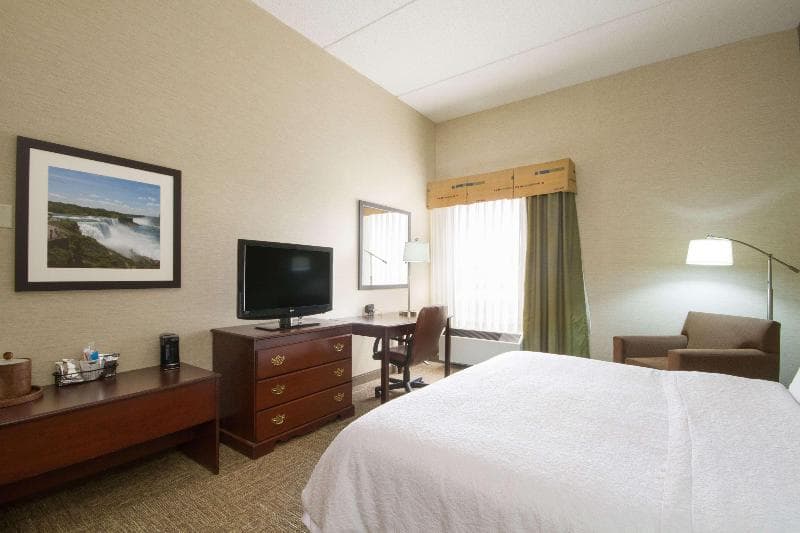 Hampton Inn Buffalo South/I-90 3