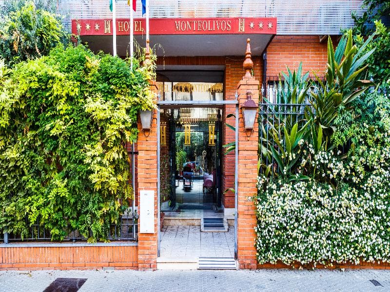 Hotel Monteolivos 3
