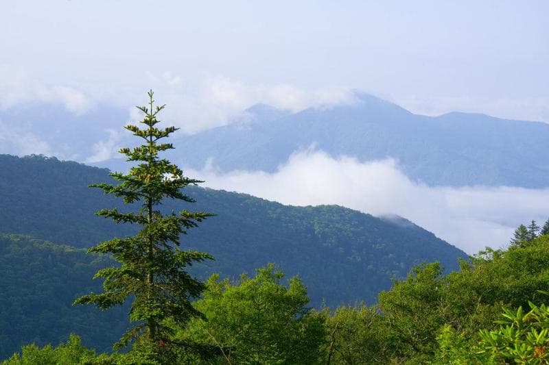 Great Smokies Inn photo 1