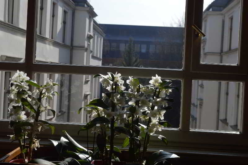 Hotel Tiergarten Berlin 2
