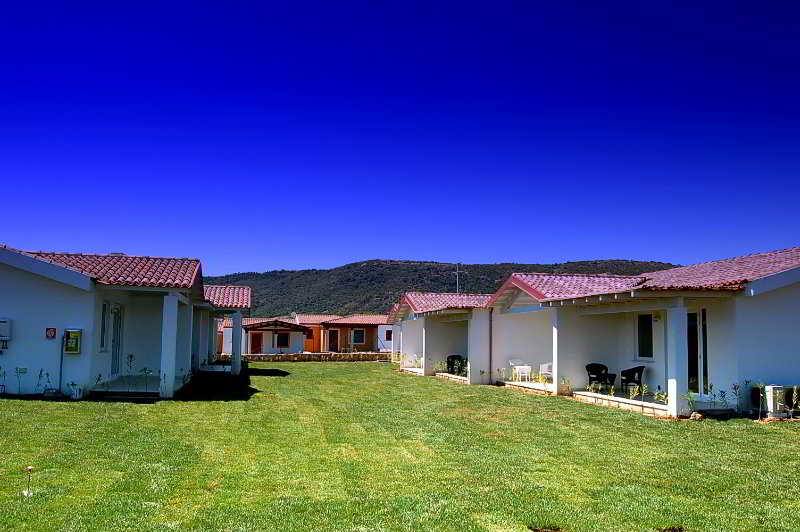 Budoni Beach Hotel photo 1