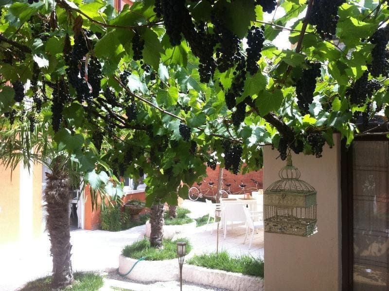 La Pergola di Venezia photo 1