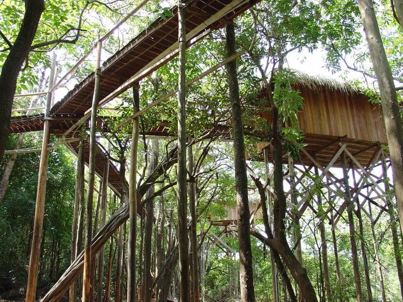 Juma Amazon Lodge 3