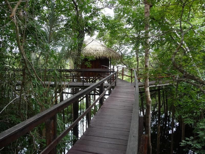 Juma Amazon Lodge 2