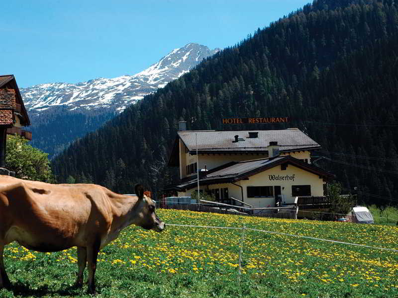 Minotel Walserhof 3