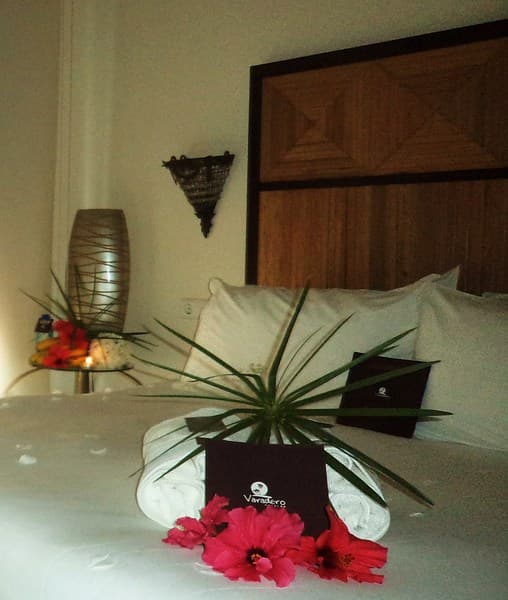 Boutique Hotel Varadero 5