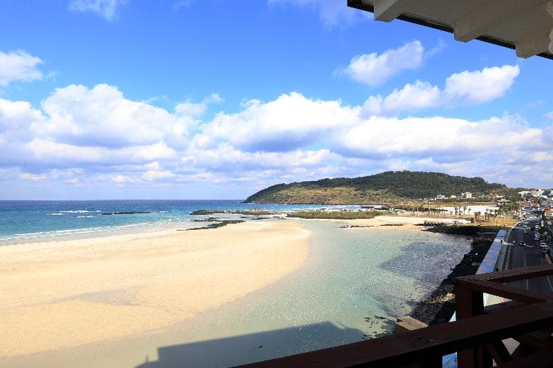 Ocean Grand 5