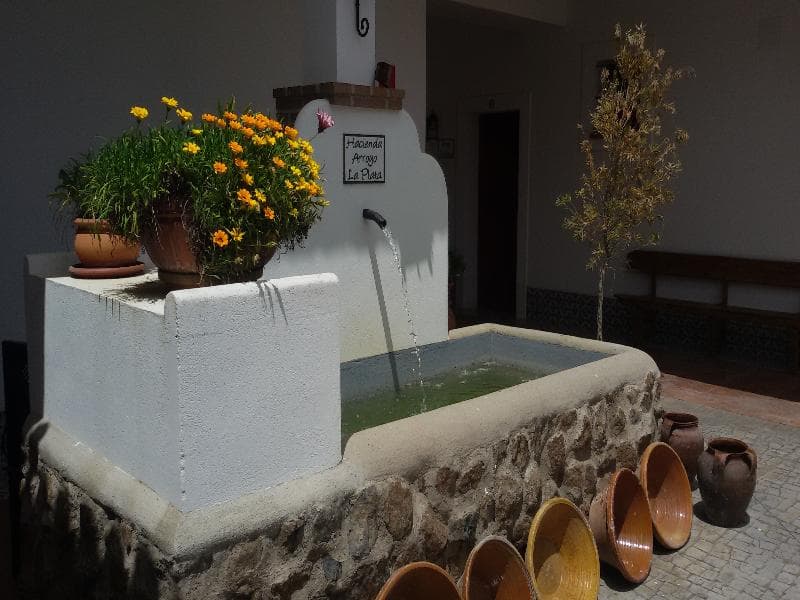 Hacienda Arroyo La Plata 4