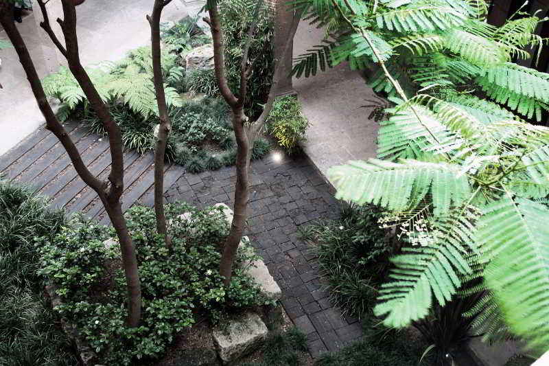 Casa Madero 5