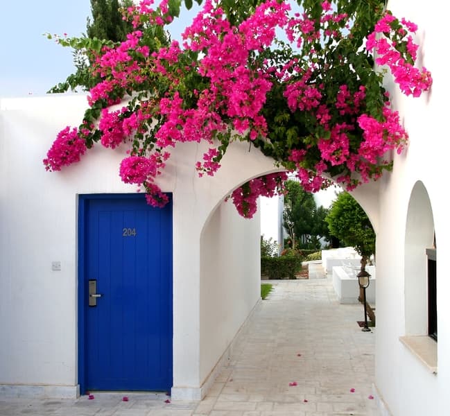 Aliathon Aegean 3