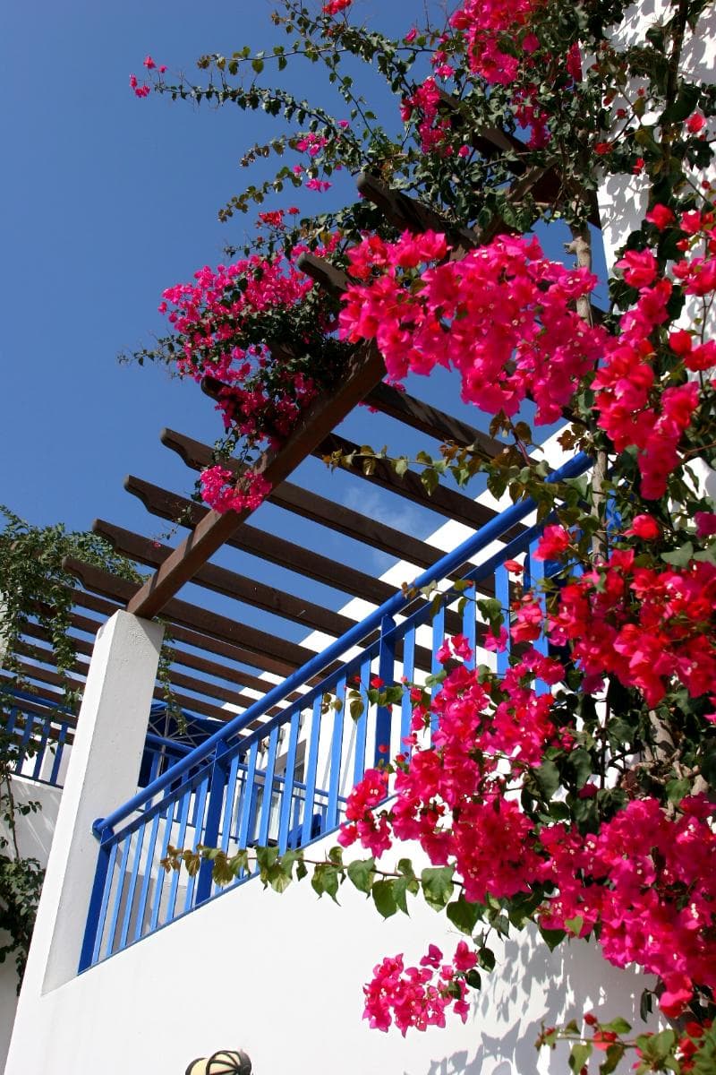 Aliathon Aegean 5