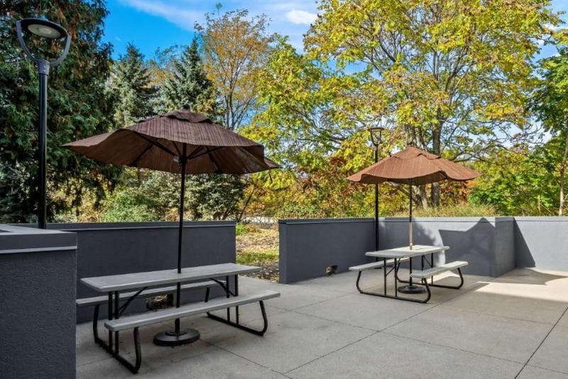 Spark by Hilton Stevensville 4