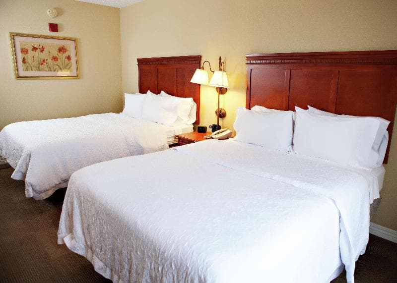Hampton Inn Martin 5