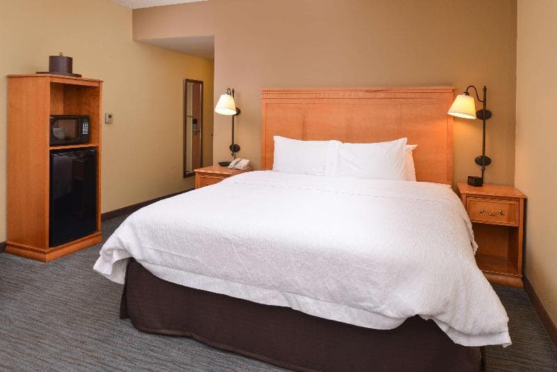 Hampton Inn & Suites Tampa East (Casino Area) 5