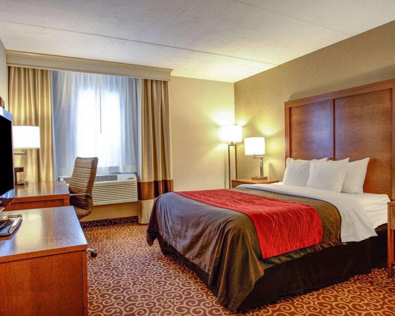 Comfort Inn 3