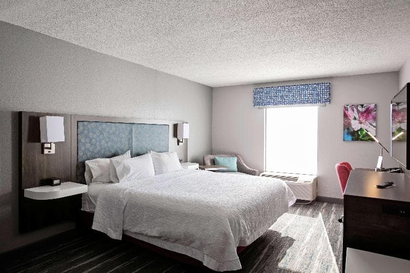 Hampton Inn Moultrie 4