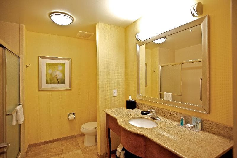 Hampton Inn Ringgold-Ft. Oglethorpe 5