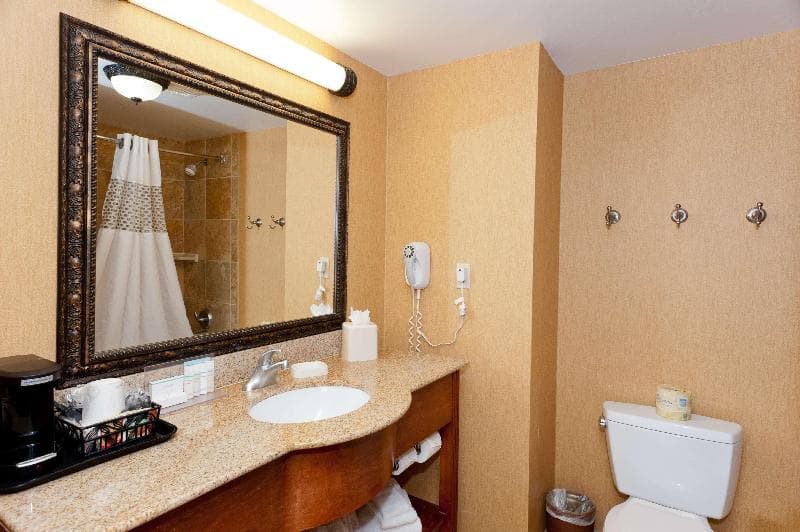 Hampton Inn & Suites McComb 5