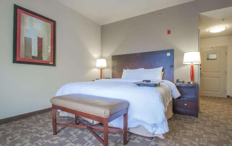 Hampton Inn Greenville 5
