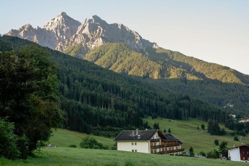 Wiesenhof main