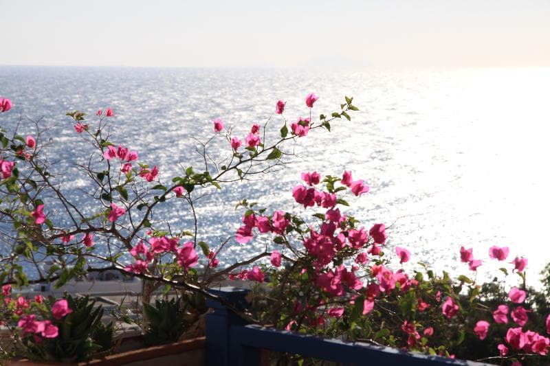 Aegean View Hotel 4