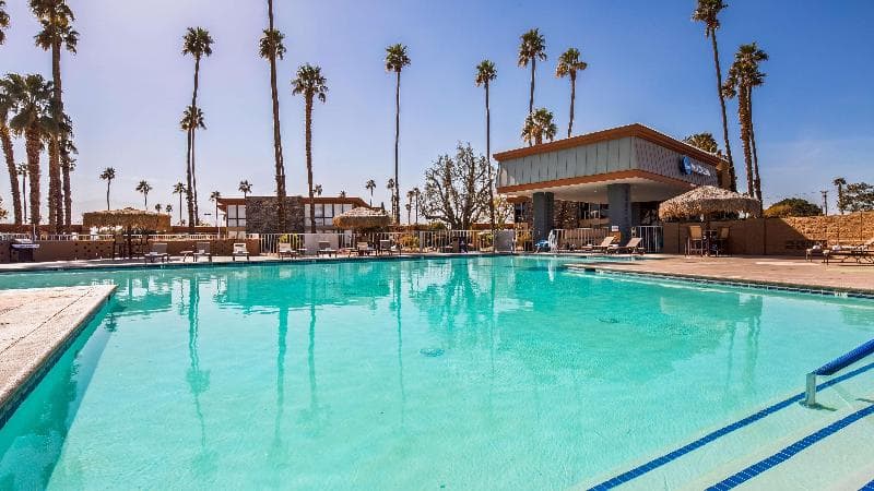 Best Western Date Tree Hotel 5