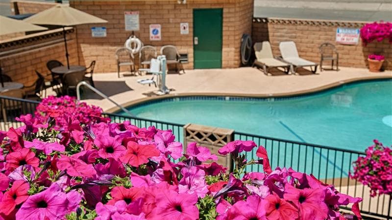 Trailside Inn 5
