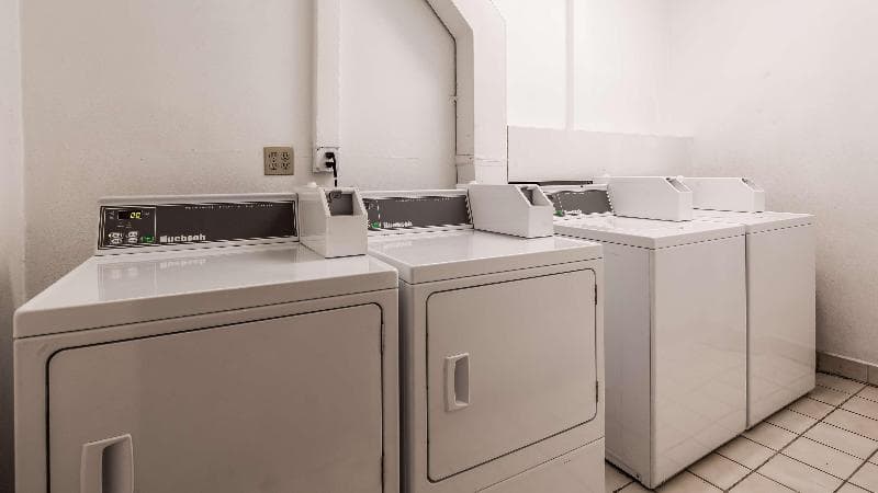 Best Western Moreno Hotel & Suites 3