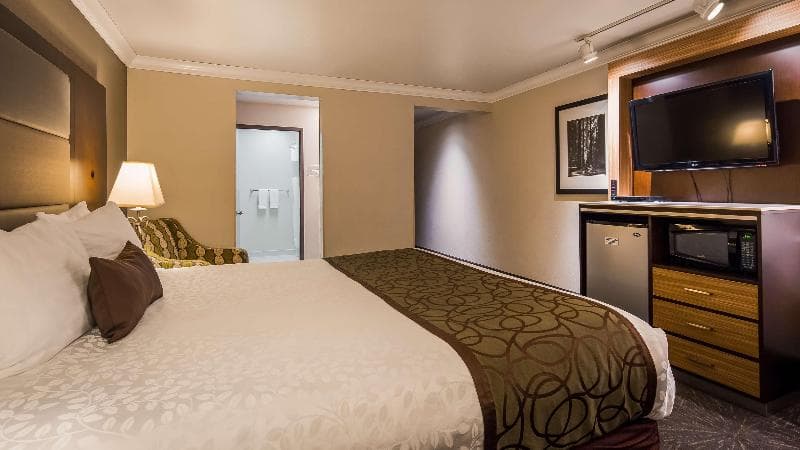Best Western Plus Forest Park Inn 3