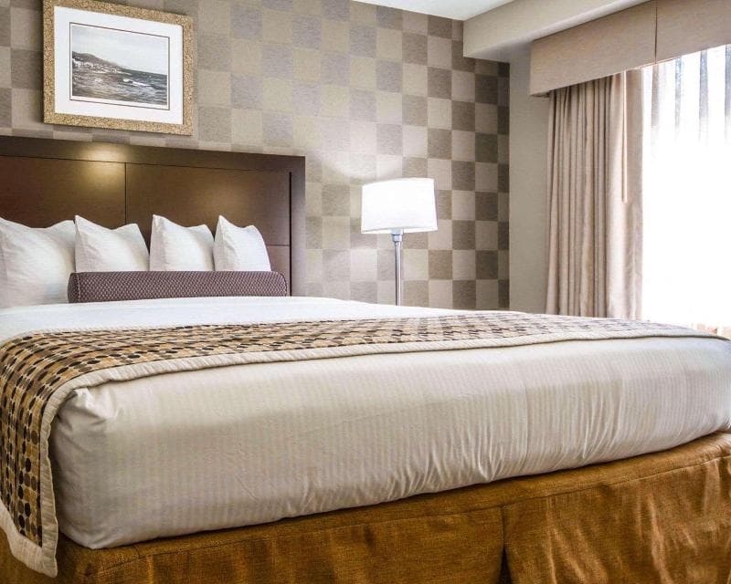 Hotel Med Park, An Ascend Hotel Collection 4