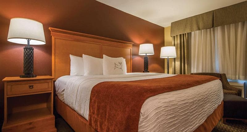 Best Western Plus Deer Park Hotel & Suites 5
