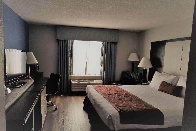 Wyndham Garden Jacksonville 5