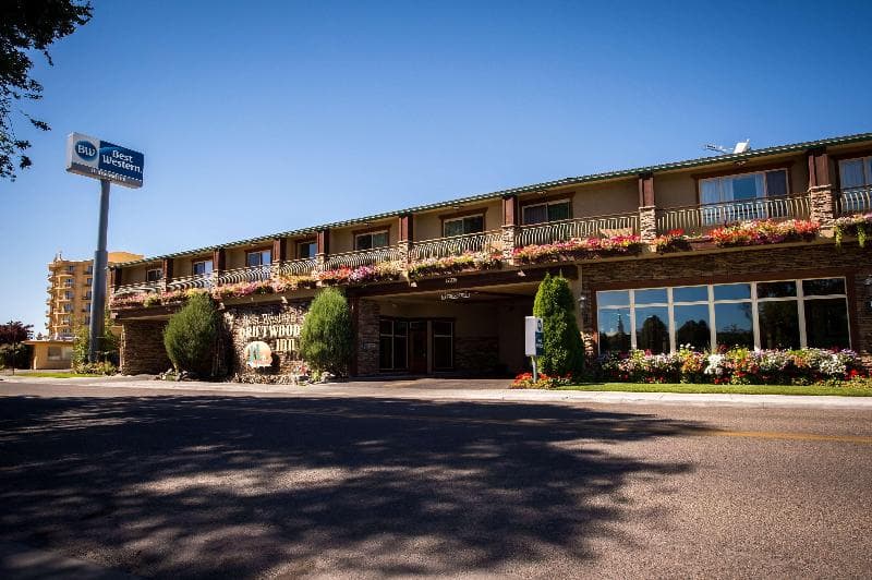 Best Western Driftwood Inn photo 1