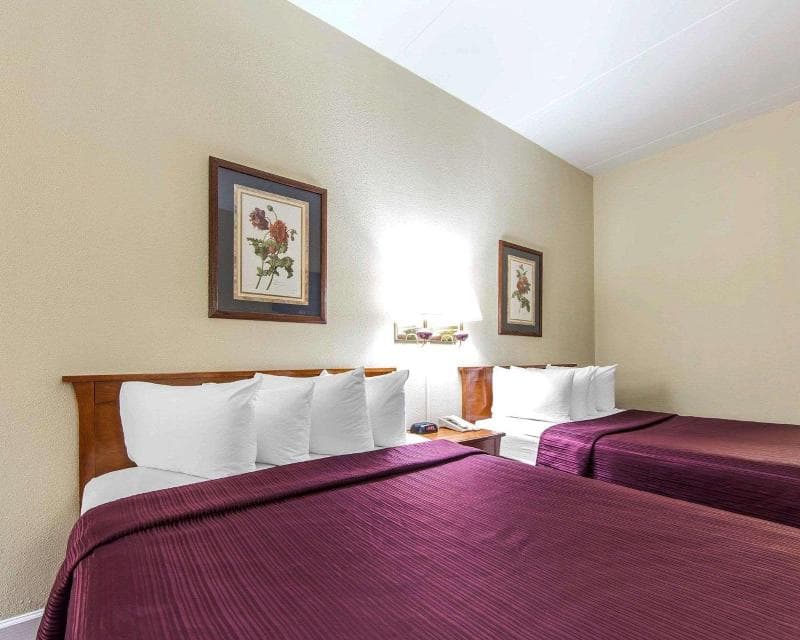 Quality Inn 5