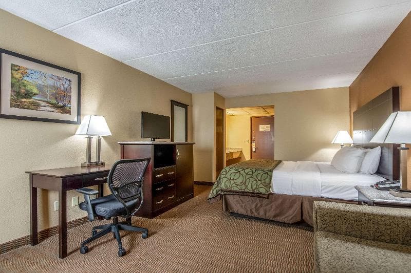Quality Inn 4